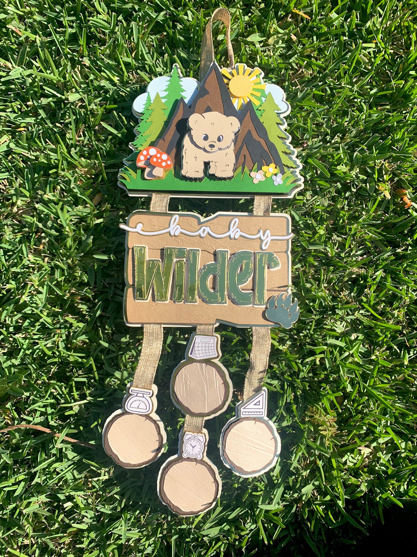 Wild One Baby Announcement